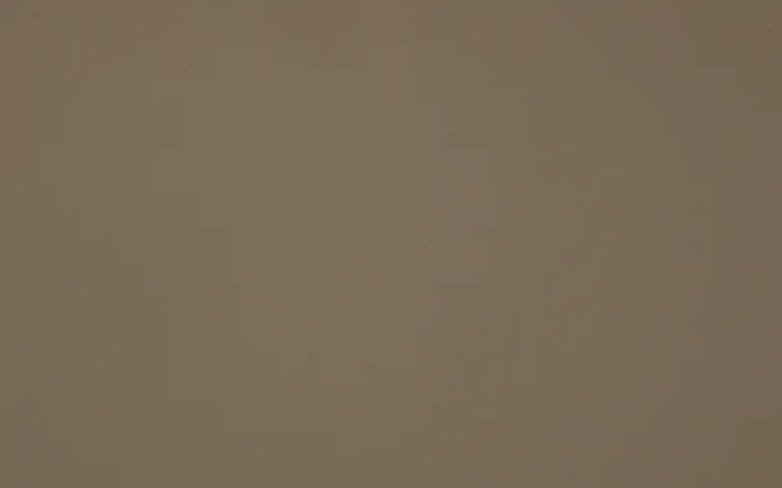 Fenix castoro ottawa