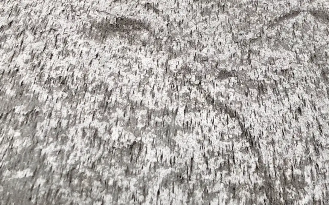 Lamina di pietra silver shine