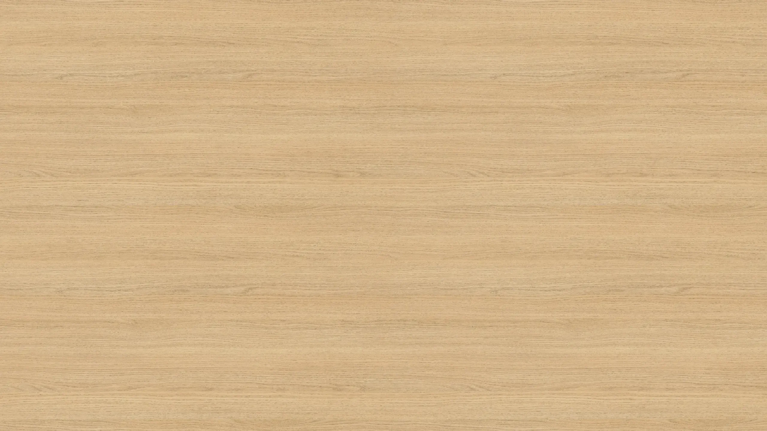 Facile Egger Rovere Vicenza H3157 ST12